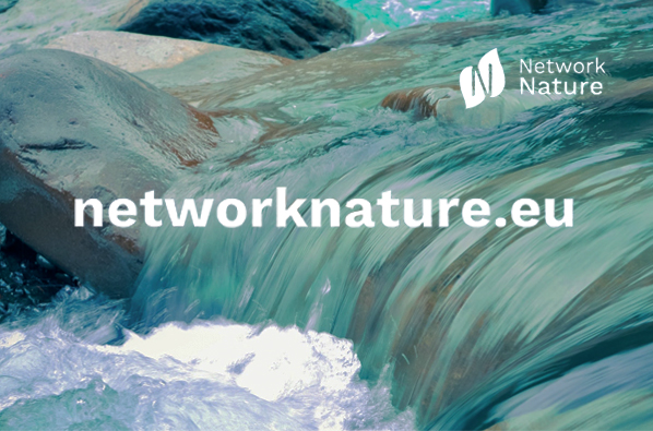 Docentes do ISMAT organizam o lançamento do NBS HUB Portugal da NetworkNature EU, em Portimão